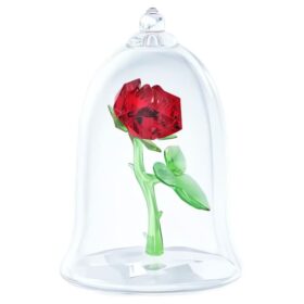 Enchanted Rose