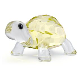 Idyllia Baby Tortoise