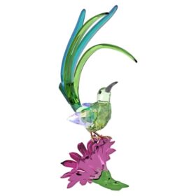 Idyllia Sugarbird and Cactus Flower
